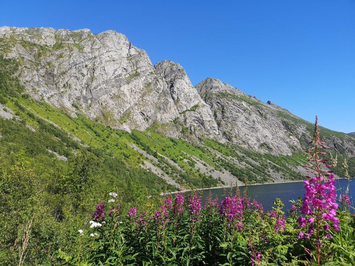 Apartament Waterfront Senja Torsken Zewnętrze zdjęcie